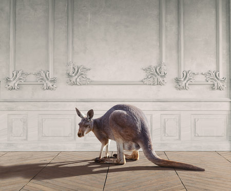 Kangaroo standing against elegant white wall decor. 3D rendering.の写真素材