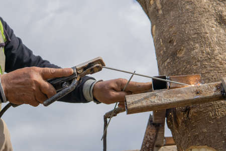 Close up of a welder working on a treeの写真素材