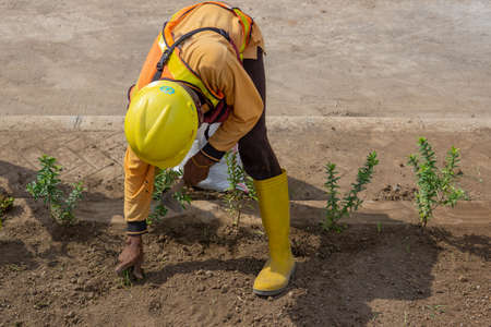 A man in a yellow helmet and yellow overalls digs a hole in the ground.の写真素材
