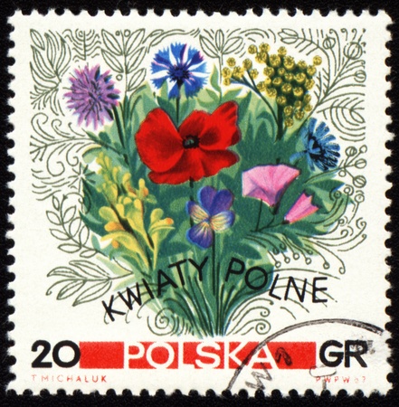 POLAND - CIRCA 1967: stamp printed in Poland, shows a bouquet of wildflowers, circa 1967の写真素材