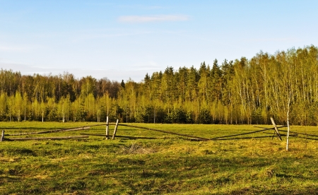 Fenced pasture in a forest at sunset, spring timeの写真素材