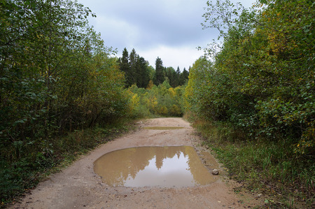 Country dirt road through the forest with mud and large puddles after rainの写真素材