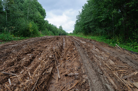 Rural empty dirty wet road with deep tire tracks and piles of woody debrisの写真素材