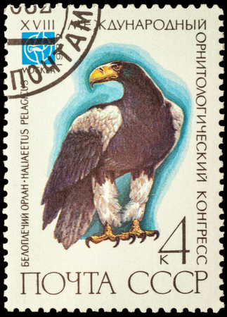 MOSCOW, RUSSIA - JANUARY 22, 2016: stamp printed in USSR (Russia) shows sitting eagle (Haliaeetus pelagicus), series "The 18th International Ornithological Congress", circa 1982のeditorial素材