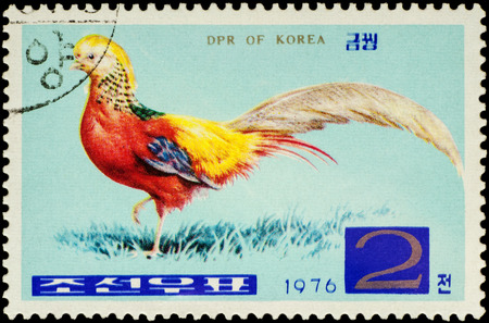 MOSCOW, RUSSIA - FEBRUARY 20, 2016: A stamp printed in North Korea shows golden pheasant (Chrysolophus pictus), series "Pheasants", circa 1976のeditorial素材