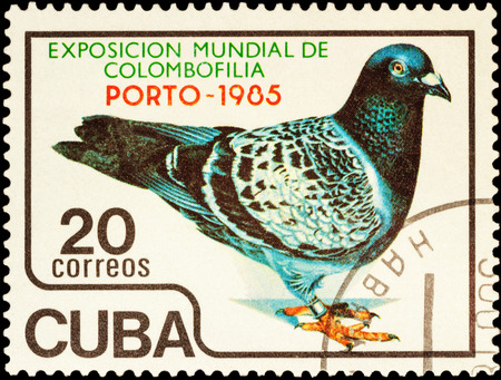 MOSCOW, RUSSIA - FEBRUARY 20, 2016: A stamp printed in Cuba shows pigeon, devoted to the International Pigeon Exhibition "PORTO 1985" - Porto, Portugal, circa 1985のeditorial素材