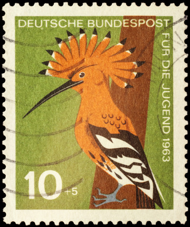 MOSCOW, RUSSIA - FEBRUARY 22, 2016: A stamp printed in Germany shows bird hoopoe on the tree (Upupa epops), series "Youth Hostel - Birds", circa 1963のeditorial素材