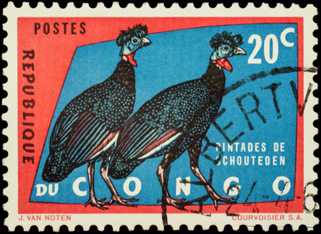 MOSCOW, RUSSIA - FEBRUARY 20, 2016: A stamp printed in Congo shows crested guineafowl (Guttera edouardi), series "Protected Birds", circa 1963のeditorial素材
