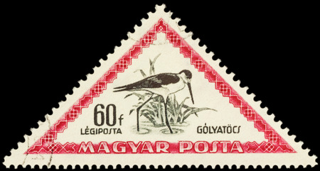 MOSCOW, RUSSIA - FEBRUARY 29, 2016: A stamp printed in Hungary shows bird black-winged stilt (Himantopus himantopus), series "Birds", circa 1952のeditorial素材