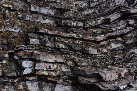 Texture of layered rocks on the shore of the Barents Seaの写真素材