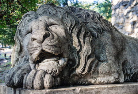 Sculpture of sleeping lion in Lviv (Lvov), Ukraineの写真素材