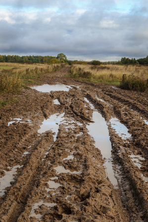 Country dirt road with muddy paddles after rainの写真素材