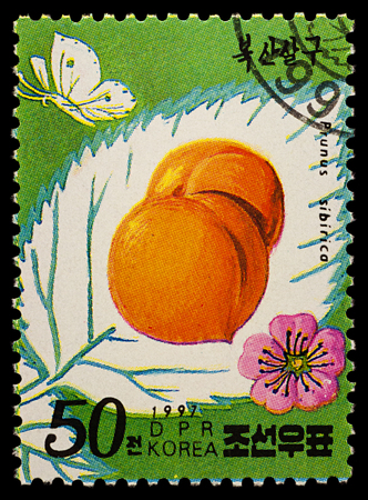Moscow, Russia - January 24, 2018: A stamp printed in DPRK (North Korea) shows Apricots (Prunus sibirica), series "Fruits - Apricots", circa 1997のeditorial素材