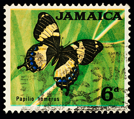 Moscow, Russia - February 02, 2018: A stamp printed in Jamaica shows butterfly Giant Swallowtail (Papilio homerus), series "Local Motifs", circa 1964のeditorial素材