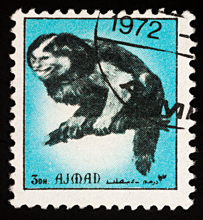 Moscow, Russia - February 03, 2018: A stamp printed in Ajman shows monkey sitting on tree branch, series "Animals - Mammals", circa 1972のeditorial素材