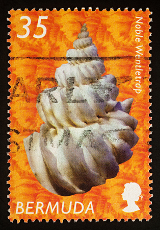 Moscow, Russia - February 04, 2018: A stamp printed in Bermuda shows Noble Wentletrap (Sthenorhytis pernobilis), series "Shells", circa 2002のeditorial素材