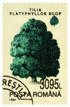 Moscow, Russia - December 11, 2019: stamp printed in Romania shows large-leaved lime or large-leaved linden (Tilia platyphyllos), series "Trees", circa 1994のeditorial素材