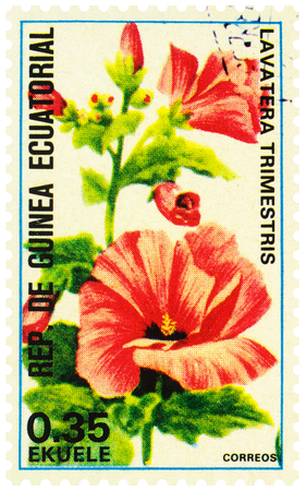 Moscow, Russia - December 21, 2019: stamp printed in Equatorial Guinea shows flowers Lavatera trimestris, also annual mallow, rose mallow, royal mallow, regal mallow, series "Flowers", circa 1979のeditorial素材
