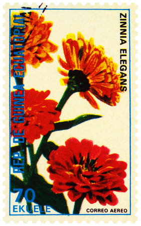 Moscow, Russia - December 19, 2019: stamp printed in Equatorial Guinea shows flowers youth-and-age or common zinnia or elegant zinnia (Zinnia elegans), series "Flowers", circa 1979のeditorial素材