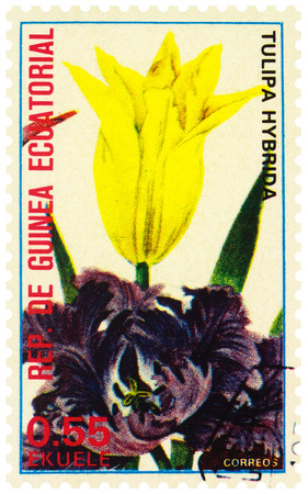 Moscow, Russia - December 20, 2019: stamp printed in Equatorial Guinea shows yellow tulip flower (Tulipa hybrida), series "Flowers", circa 1979のeditorial素材