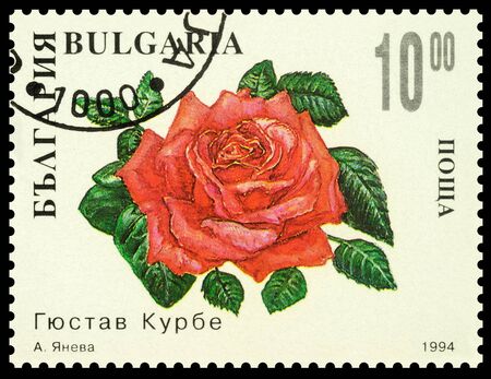 Moscow, Russia - December 31, 2019: stamp printed in Bulgaria shows red rose "Gustave Courbet", series "Roses", circa 1994のeditorial素材
