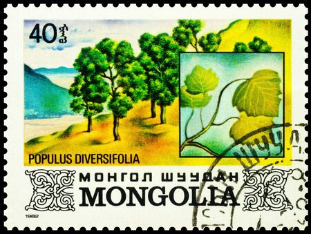 Moscow, Russia - December 10, 2019: stamp printed in Mongolia shows poplar trees on riverbank (Populus diversifolia), series "Trees of Mongolia", circa 1982のeditorial素材