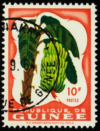 Moscow, Russia - January 07, 2020: stamp printed in Guinea shows banana (Musa acuminata), series "Fruits in Natural Colors", circa 1959のeditorial素材