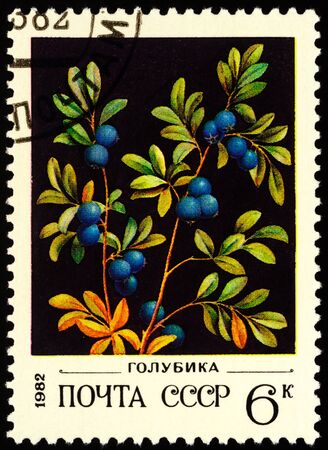 Moscow, Russia - January 26, 2020: stamp printed in USSR (Russia) shows blueberry, great bilberry, bog whortleberry or bog bilberry (Vaccinium uliginosum), series "Wild Berries", circa 1982のeditorial素材