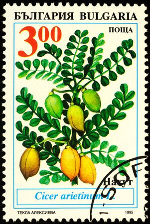 Moscow, Russia - February 05, 2020: stamp printed in Bulgaria shows chickpea, or gram, or garbanzo, or Egyptian pea, or chana, or chole (Cicer arietinum), series "Legumes", circa 1995のeditorial素材