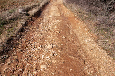 Country dirt road after rain, springtime