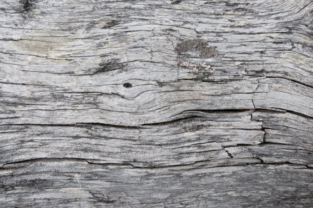 Texture of old cracked weathered wooden log with lichen