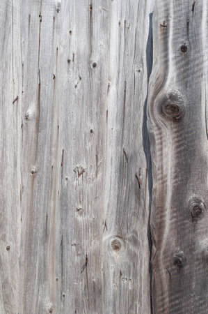 Closeup of unpainted weathered pine wooden wallの写真素材