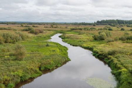 Country landscape with small Nyuma River in green tundra, summer time. Arkhangelsk region, Russiaの写真素材