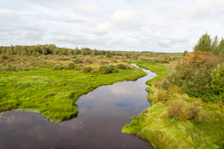 Country landscape with small river in tundra, green grass and small trees around, summer time. Nyuma River, Arkhangelsk region, Russiaの写真素材