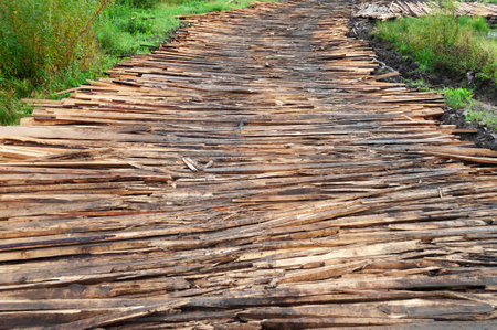 Closeup of temporary flooring made of wooden poles on marshy groundの写真素材