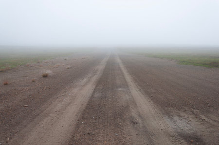 Straight dirt road through the tundra, heavy fog, green moss around. Rybachy Peninsula, Murmansk region, Russiaの写真素材