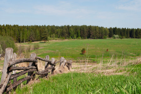 Outskirts of the village, old wooden fence in the foreground, green meadow and coniferous forest in the distanceの写真素材