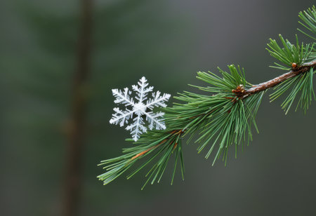 Decorative snowflake landing on the tip of a pine branchの素材