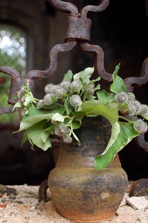 Flower pot with field flowers in the background of the old church grilled window.の写真素材