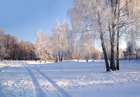 On the bright and sunny winter day in the town of Korolev not far away from Moscow near the urban canal.の写真素材