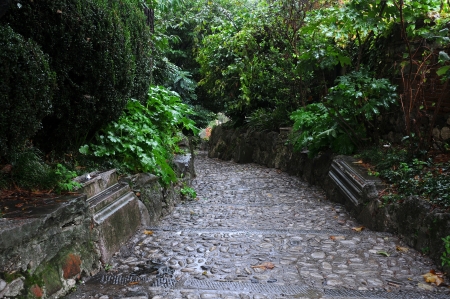 Paved slope in the rain in the late fall in the city of Udine in Italyの写真素材