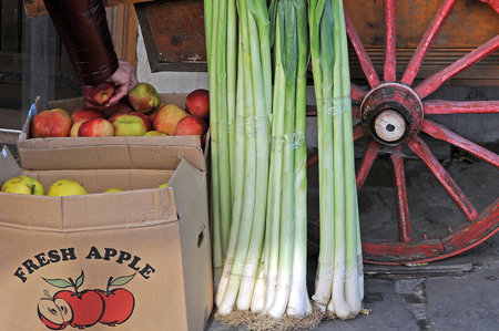 Picking apples in the open air marketの写真素材