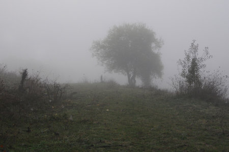 Rural foggy countryside in Bulgariaの写真素材