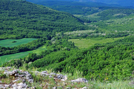 View of rural landscape with bushes, shrubs and trees in Bulgaria from the hill in Mayの写真素材