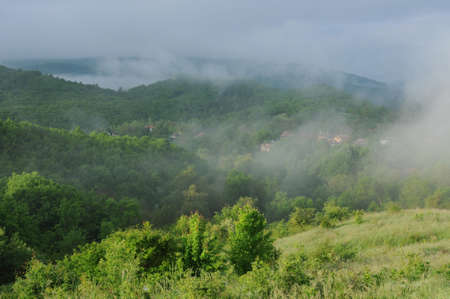 Bushes, shrubs, trees and houses on foggy morning in the mountain village in the Balkansの写真素材