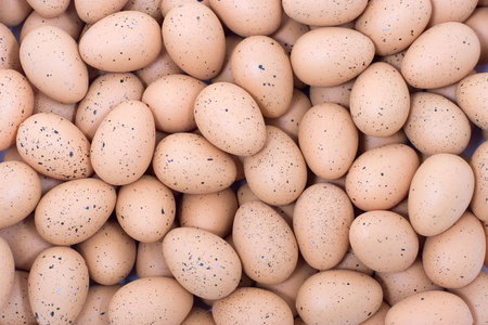 Easter eggs with spots backgroundの写真素材