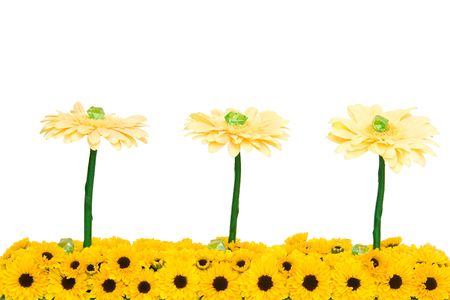 Arrangement with three big chrysanthemums and many small onesの写真素材