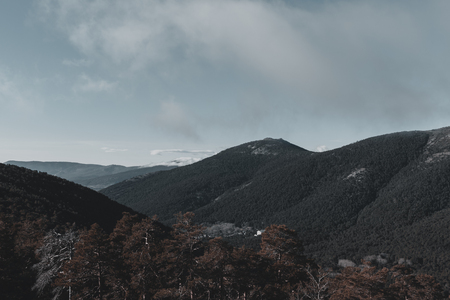 Mountains and wild forests during the winterの写真素材