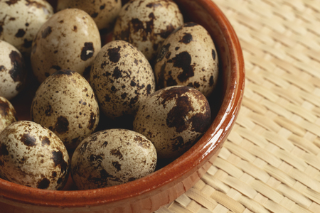 Tasty quail eggs freshly picked, ready to make delicious recipesの写真素材