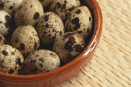 Tasty quail eggs freshly picked, ready to make delicious recipesの写真素材